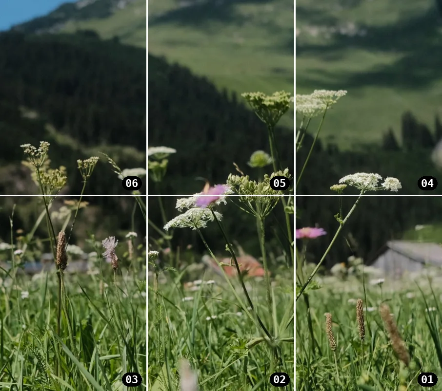 One photo split into a 6-post Instagram grid, 3 by 2